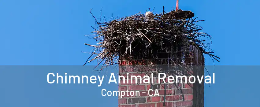 Chimney Animal Removal Compton - CA